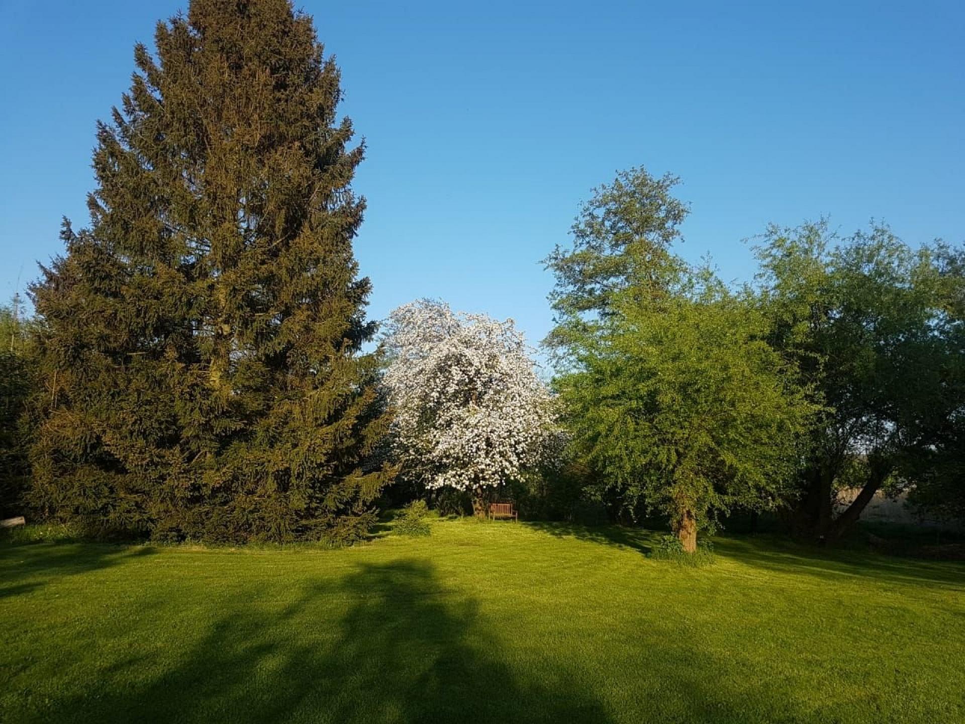 Hof Dahnsdorf Foto 9