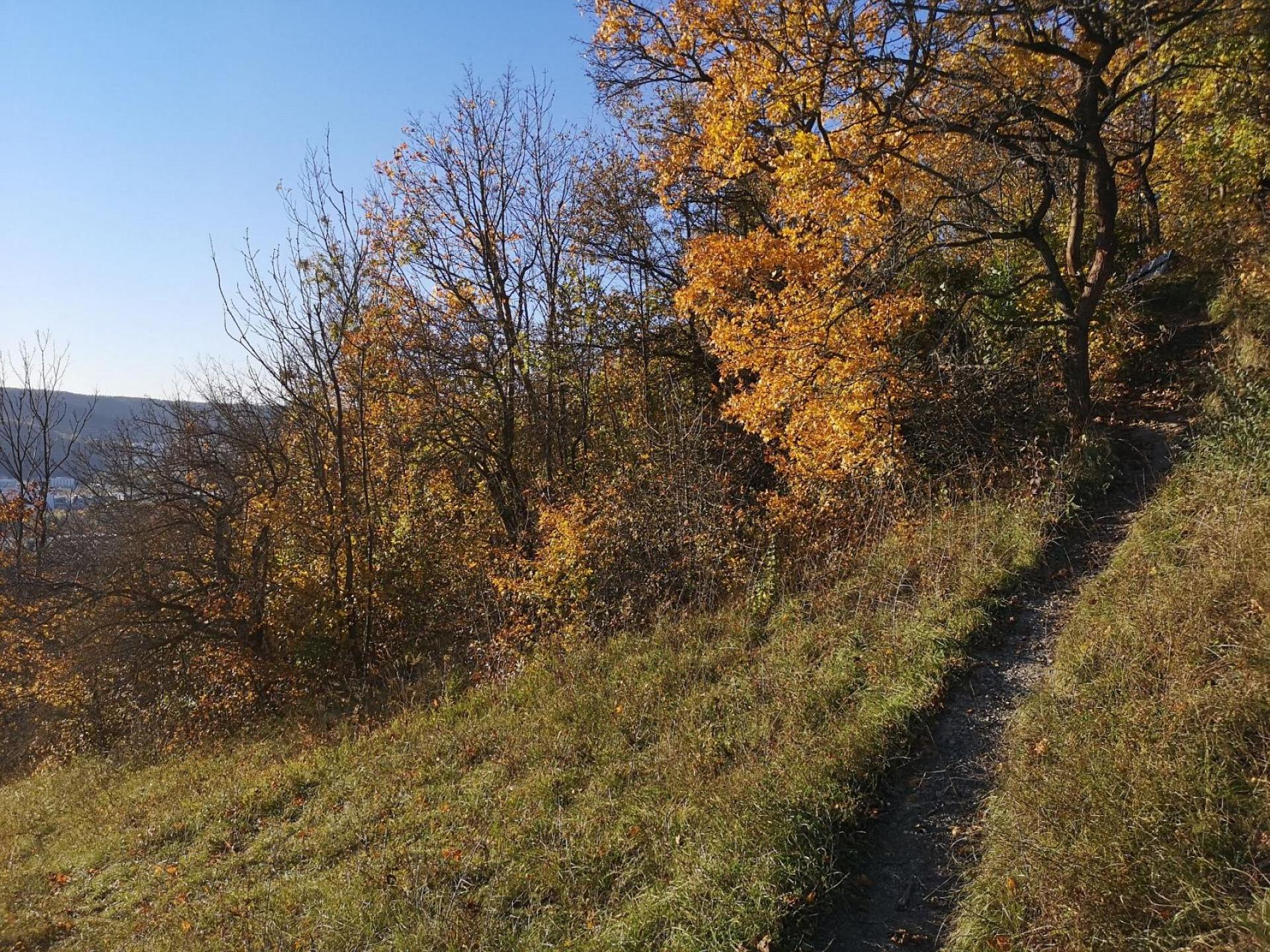 Wanderwege